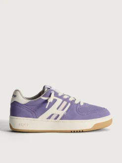 SOL